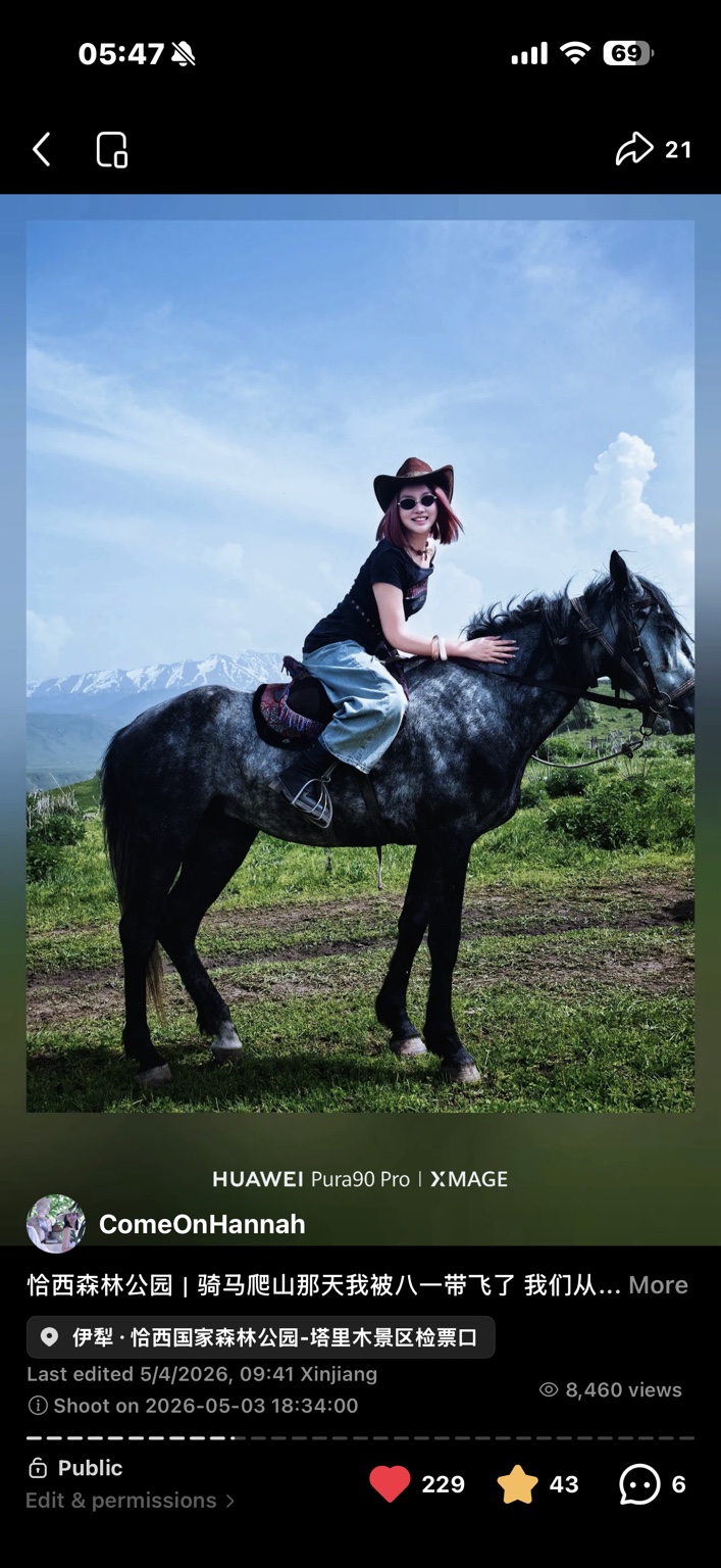 RedNote post evidence for A horse named Bayi