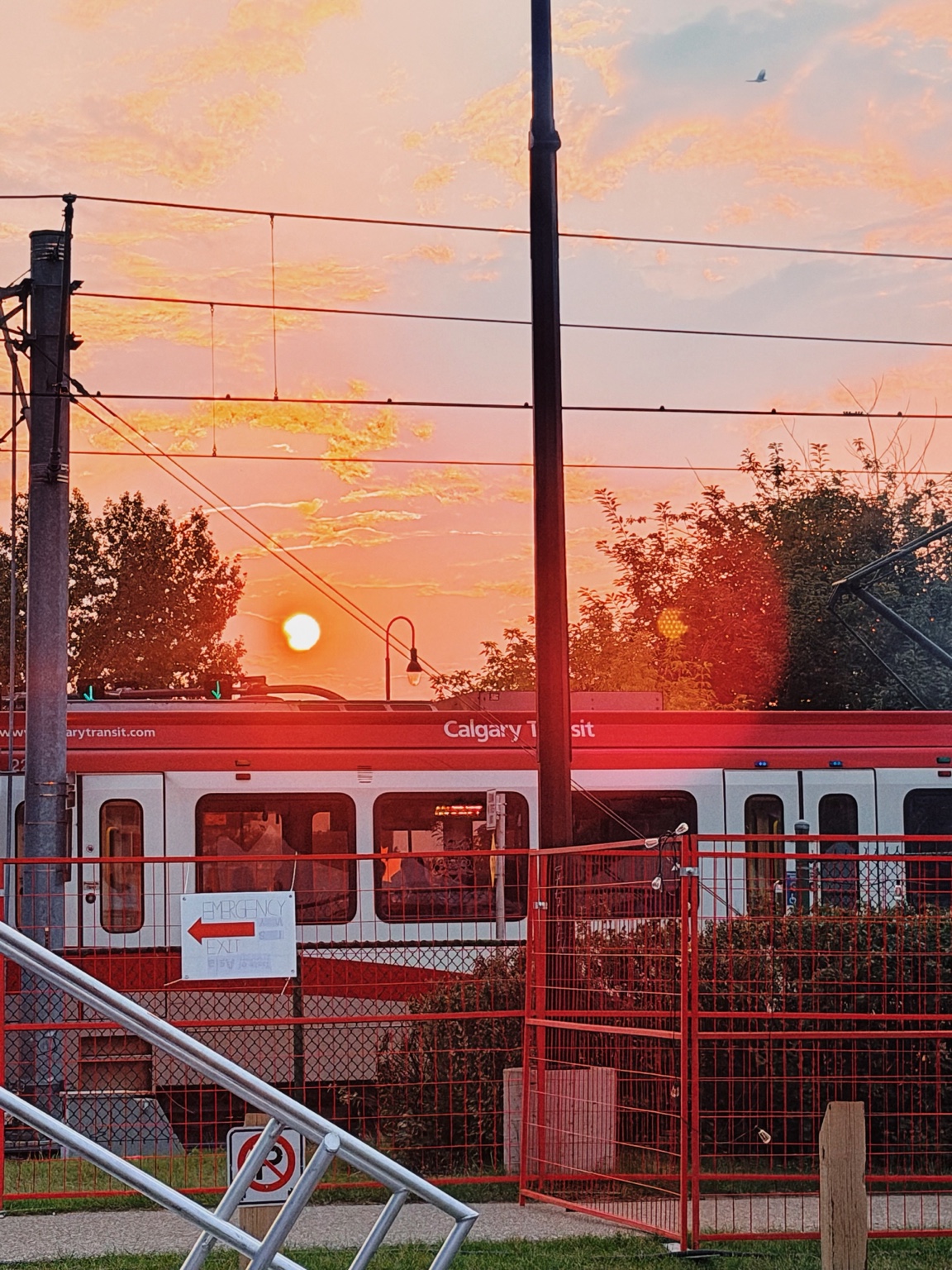 A Calgary Transit train passing through the red light of sunset